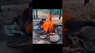 Alex and Yoa Camping in the high country #arizona #camping #fire #lanadelreymusic #fall #ourlove