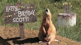 Scott's Prairie Dog BD video