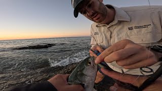 I CAUGHT THE BIGGEST FISH IN HERVEY BAY! FISHING QUEENSLAND: EP.76