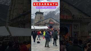 Kedarnath Yatra #kedarnath #uttarakhand #devbhoomi #kedarnathtemple #harharmahadev #kedarnathyatra