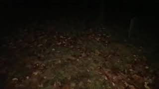 EVP session at the cemetery landau castle