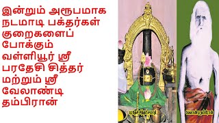 Valliyur Siddhar-300 years-samadhi-வள்ளியூர் ஸ்ரீ பரதேசி சித்தர் மற்றும் ஸ்ரீ வேலாண்டி தம்பிரான்