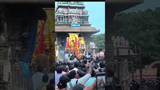 திருவண்ணாமலையில் இன்று பிரதோஷ வழிபாடு #trending #thiruvanamalai #shorts #shortvideo #viralvideo