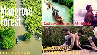 World's Second Largest Mangrove Forest ☘️ 😮|| Famous Movie Shooting Spot?🤔 || Worth Visiting?✨  ||