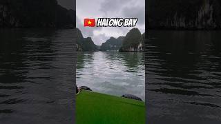 🇻🇳 The Open Waters of Ha Long Bay – Nature’s Masterpiece 🌊✨