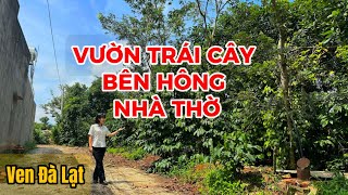 Đất vườn ven Đà Lạt| Ngay bên hông NHÀ THỜ có một mảnh vườn trái cây đẹp mê ly! Bơ, ổi, cà phê,....