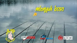 Mlenyukmu Marakke Tuman || Mancing Wadaslintang Terbaru