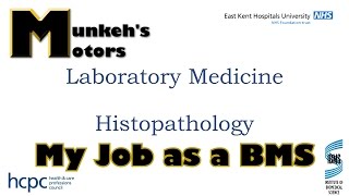 My Job - A Biomedical Scientist in Histopathology