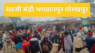 भगवानपुर पीपीगंज सब्जी मंडी | sabji Mandi bhagwanpur | सबसे बड़ी सब्जी  मंडी #vegitables #market