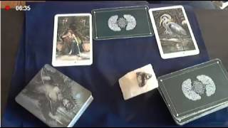 Joy Clarion speaks on healing broken hearts in Relationships using Wildwood Tarot Deck