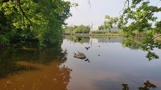 #3 Eisenwurzenweg 08 (Gmünd Bhf. - Weitra Bhf.)