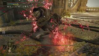 Pure fun of Elden Ring - No Hit Only Katana NG+ - Morgott , The Omen King