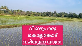 @GeorgeTheIndianFarmer വീണ്ടും പാലക്കാടിന്റെ ഹരിതാഭ ആസ്വദിച്ചുള്ള ഒരു യാത്ര. The Rice Bowl of KL