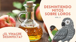 ¿El vinagre desinfecta? | DESMINTIENDO 5 MITOS SOBRE LOROS | VOL 2 | MITOS QUE CREÍAS CIERTOS