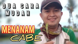 Dua Cara Tanam Bibit Cabe | # 5