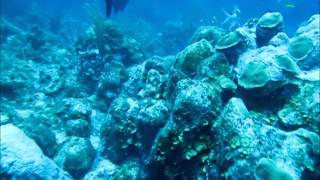 JimJam Dive - Diving the South Drop, Lobster Cave Area - St Thomas USVI