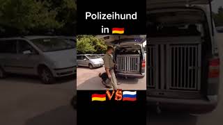 Polizeihund in Deutschland 🇩🇪VS Russland 🇷🇺