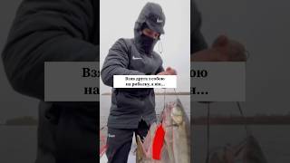 О це так поворот #риболов #fishing #риболовля #щука #снасті #рибалка #снасті #клювання #відпочинок