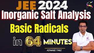 Inorganic Salt Analysis (Basic Radicals) In 64 Minutes -JEE Main 2024 #jee2024 #jeemains #chemistry