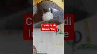 Caviale di lumache