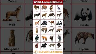 Wild Animal Name #shorts