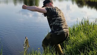 Вечерняя рыбалка на молодого леща.