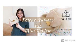 Polene Bag Review | Numero Uno Mini | Crossbody Designer Bag