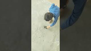 kids are playing with snake#ikcreators full video k lye comment krien