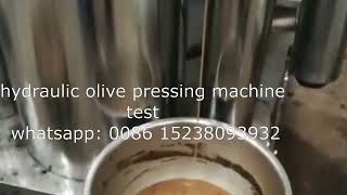 hydraulic type oilve oil press machine for olive