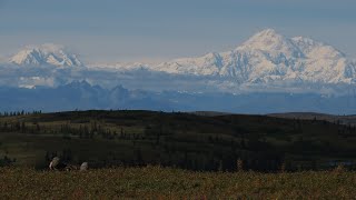 Hunting Talkeetna 2018