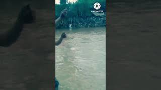 Uji Nyali Mancing di Depan Curugan