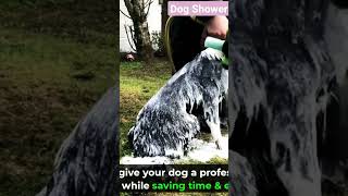 Form Sprayer Gun Dog Shower Best Product Pet Grooming #shorts