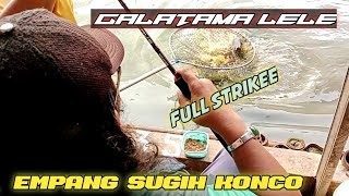 MANCING LELE ||full strike empang sugih konco