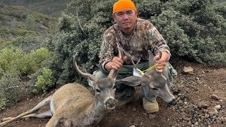 Hmong Hunting California A zone Second Week 8/18/2024