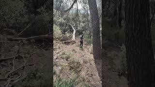 Randonnée du 18/02/24 - Les grottes des Vaudois dans le Vaucluse prêt de Mérindol.