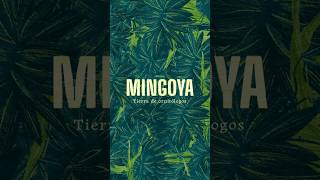 Trailer: MINGOYA - Tierra de Ornitólogos