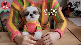 [뜨개하며독서 vlog-18]꽈아악~ 낑깁니다. 절대 웃지 않습니돠아!ㅣFO - Streamers Sweaterㅣ WIPㅣ뜨개로그ㅣ knittingㅣ1인1견가구 l 일상