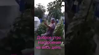 Доброе утро