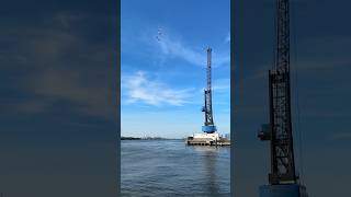 Harbor Views in Galveston, Texas