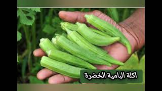 فواىد البامية🌵💥 الخطيرة 👍🤗كلنا بنحبها اكيد❤❤🌹🍒 وعليها الليمون.🍋🍋