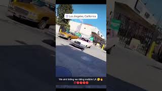 Northern raza  cruising in Los Angeles #trending #viral #lowrider #cruise #raza #norte