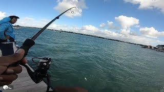 ep#10- Shore fishing at Point Aux Cannoniers - Mauritius