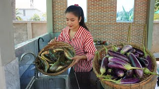 Delicious catfish cook with eggplant - Harvest and cook eggplant - Cooking with Sreypov