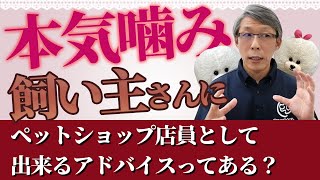 【犬のしつけ】ペットショップ店員として本気噛みする子の飼い主さんにはどうアドバイスできる？【悩み相談ライブ切り抜き】