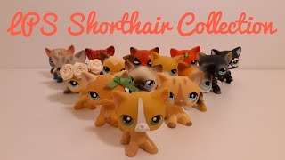 LPS Shorthair Cat Collection