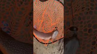 BIG PIKE SMASHES my HOMEMADE Bucktail!!! #pikefishing