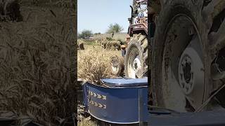 Amazing Wheat Cropping Machine #shorts #youtubeshorts #wheatcropcuttingmachine