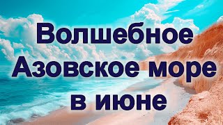 Волшебное Азовское море в июне #море #рек #топ