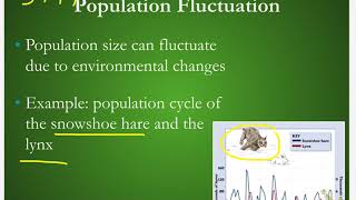 bio 3-4 population fluctuations