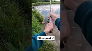 Rage quit fishing #fishing #puremichigan #ragequits #bassfishing #fishingpov #pov #skunked #bass